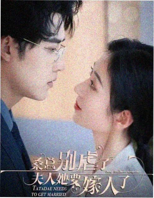 电视剧《雾岭来信》竖版海报